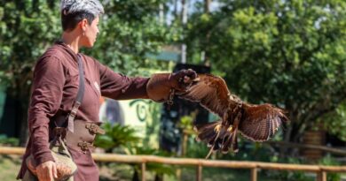 Dia das Crianças no Zoo Park Foz terá até 40% de desconto para iguaçuenses e moradores de municípios lindeiros