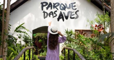 Parque das Aves realiza censo de papagaios-verdadeiros em Foz do Iguaçu