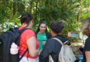 Parque das Aves promove ação para destacar a importância dos répteis na Mata Atlântica