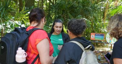 Parque das Aves promove ação para destacar a importância dos répteis na Mata Atlântica